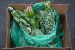 Spinach, kale, and collard greens packed in a plastic bag inside a cardboard box