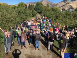 Volunteers at HAH Gleaning event in Cashmere, WA October 2020