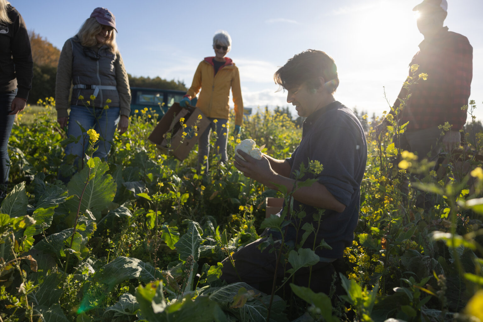 Harvest Against Hunger | HAH Board Strategic Planning Site - Harvest ...