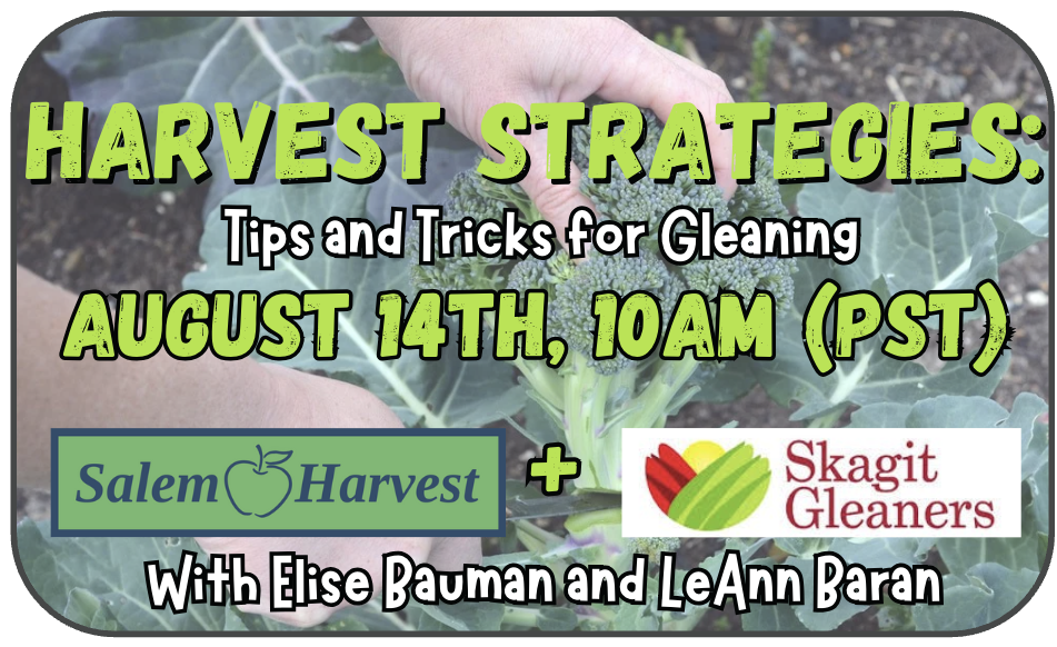 August 2025 Harvest Strategies